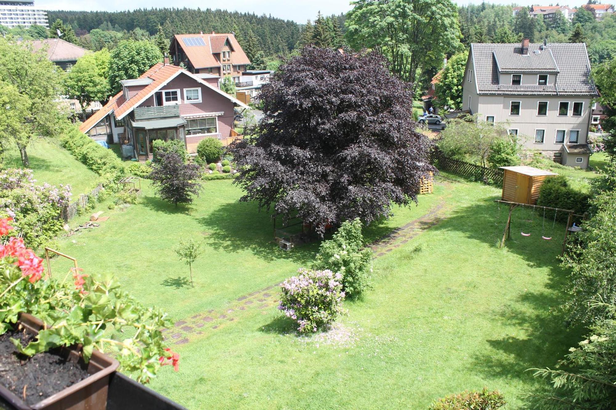 Ulrichshof Hotel Braunlage Eksteriør billede